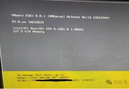 ESXI每次重启后核显或独显直通失效的解决办法